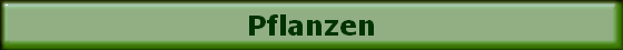 Pflanzen